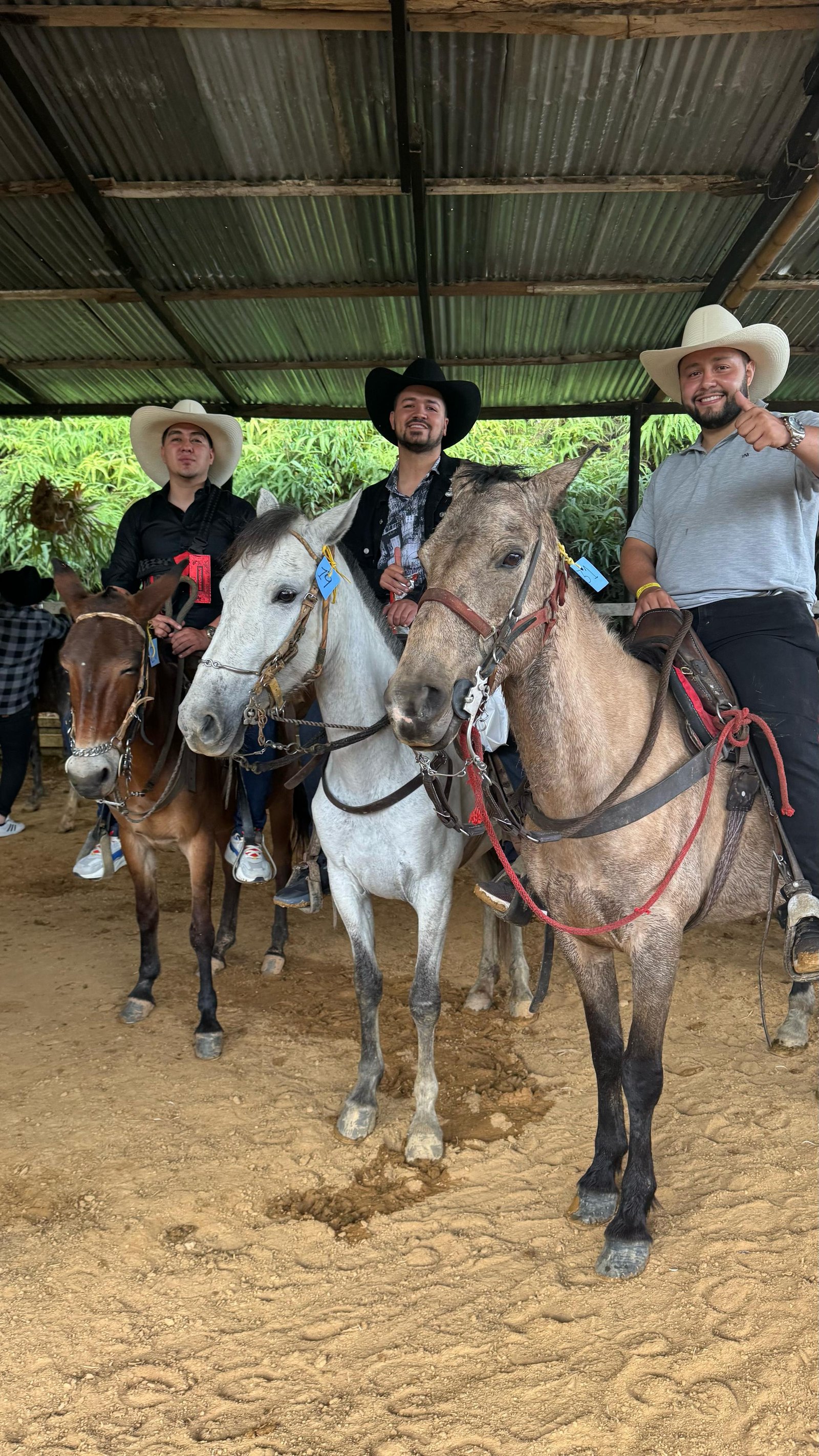 Imagen centrada y ajustada